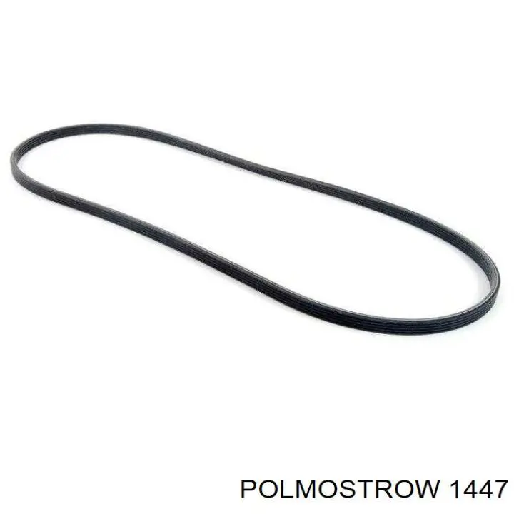 1447 Polmostrow silenciador posterior