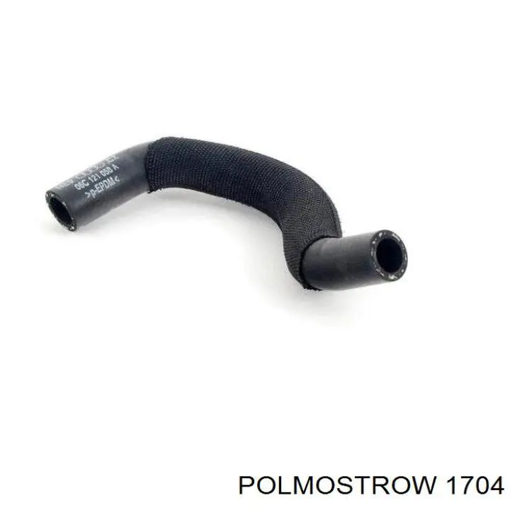 1704 Polmostrow