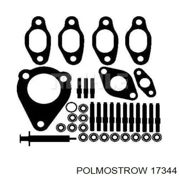 17344 Polmostrow Silenciador central
