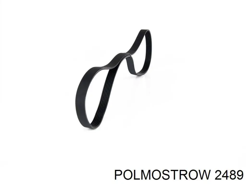 2489 Polmostrow Silenciador trasero