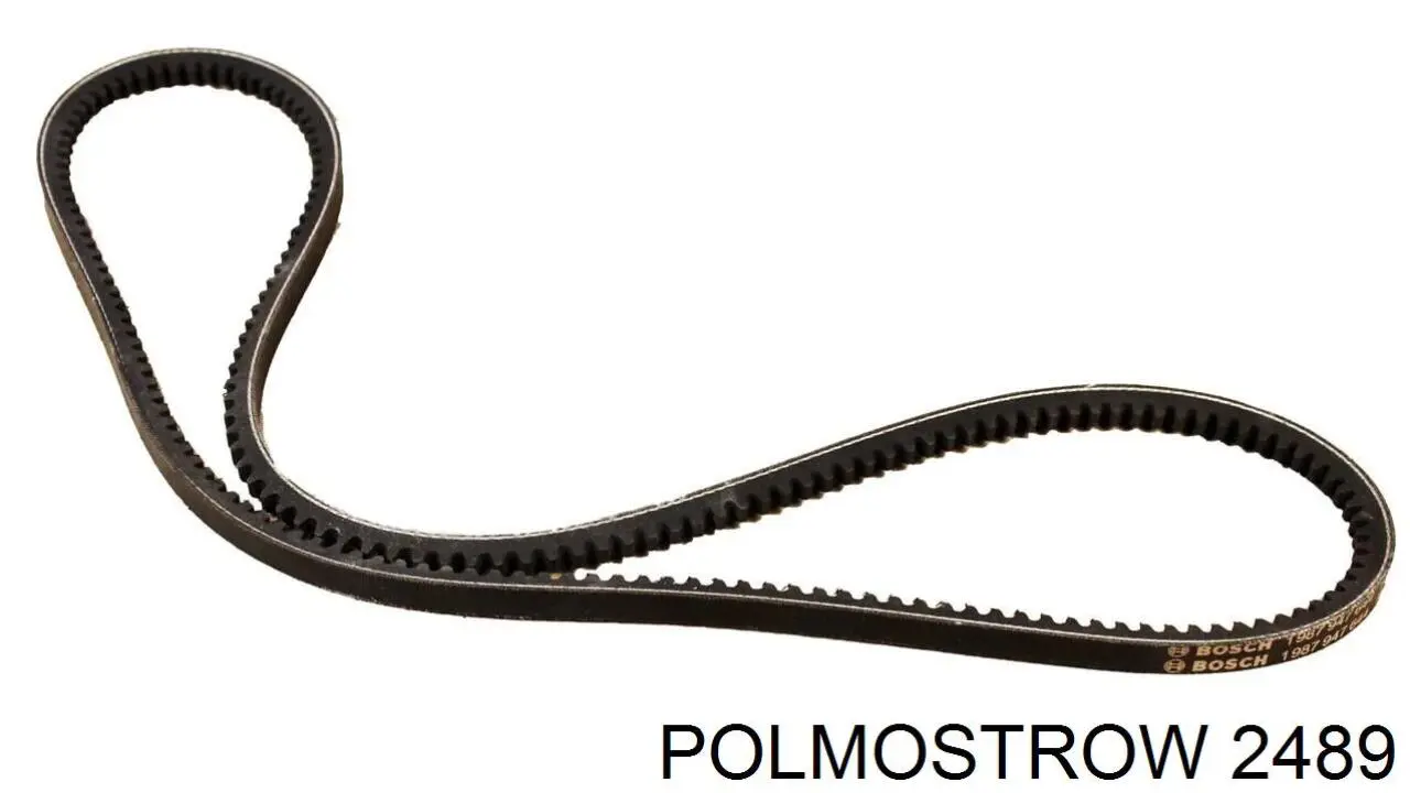 Silenciador trasero Polmostrow 2489 precio, desde 108,39 EUR