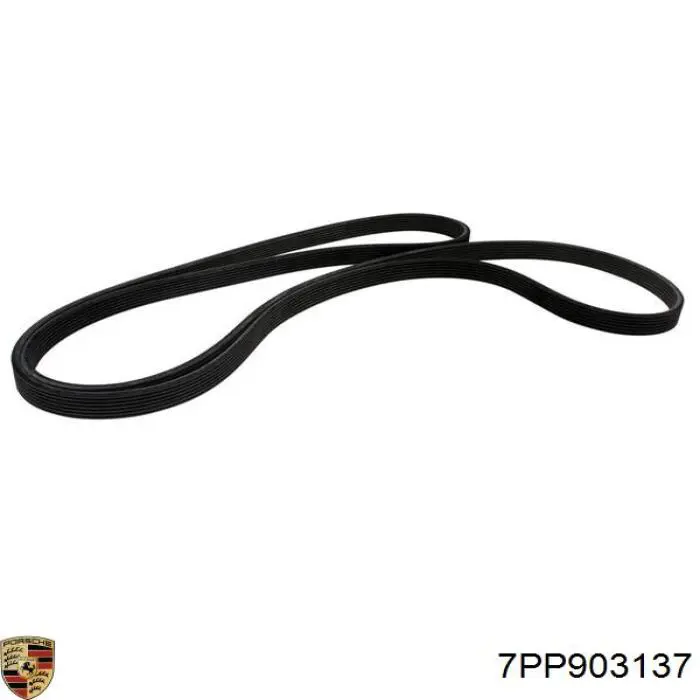 Correa de transmisión trapezoidal Porsche 7PP903137 precio, desde 60,92 EUR