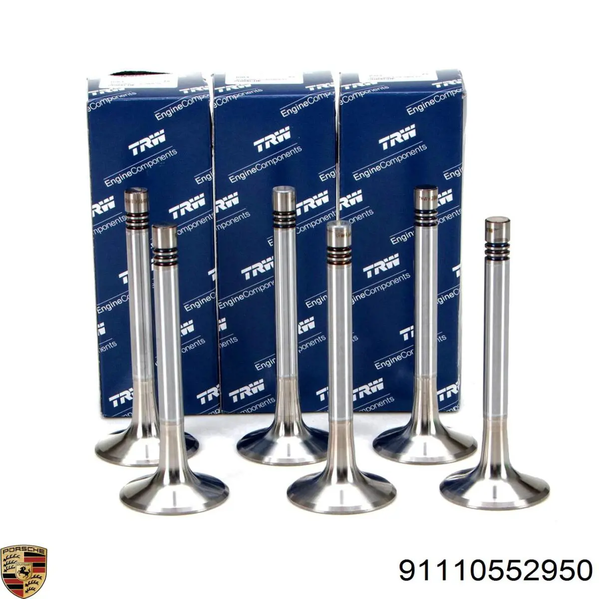 TCH1079 Dayco Cadena de motor