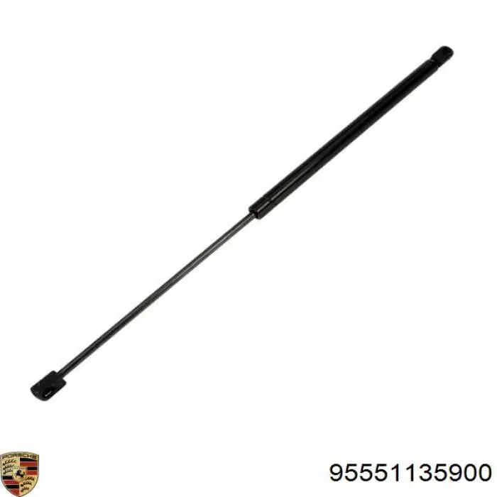 Muelle neumático, tapa delantera Porsche 95551135900 precio, desde 15,99 EUR