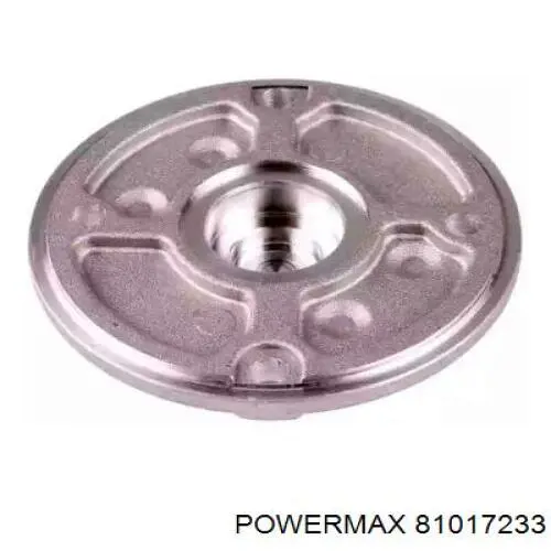 81017233 Power MAX