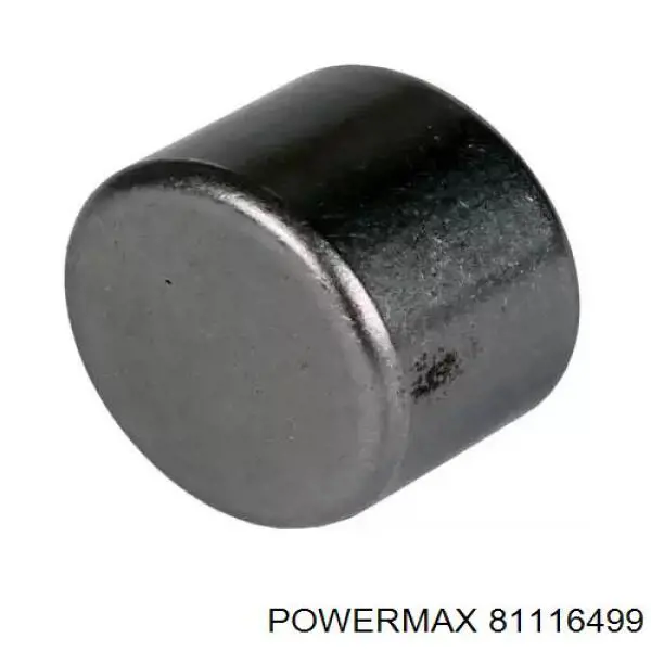 81116499 Power MAX cojinete, alternador