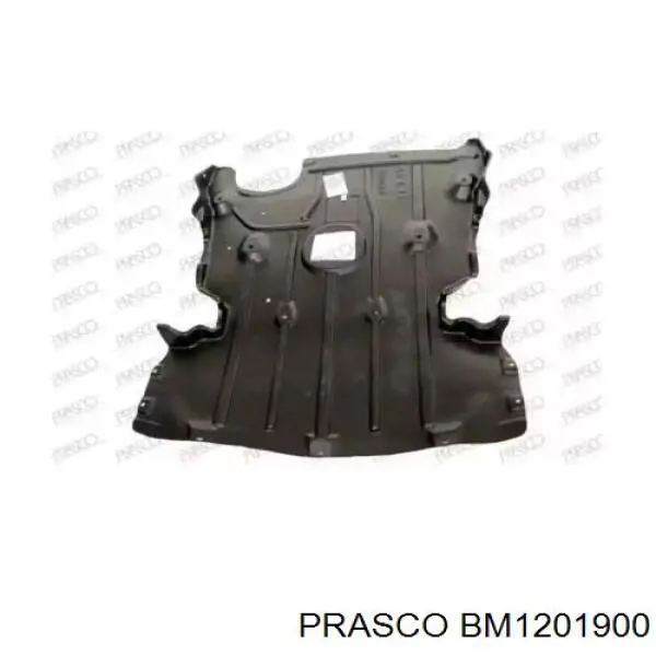 51757129318 BMW Protección de cárter