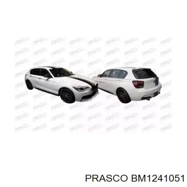 Paragolpes BMW 51128055067 precio, desde 492,88 EUR