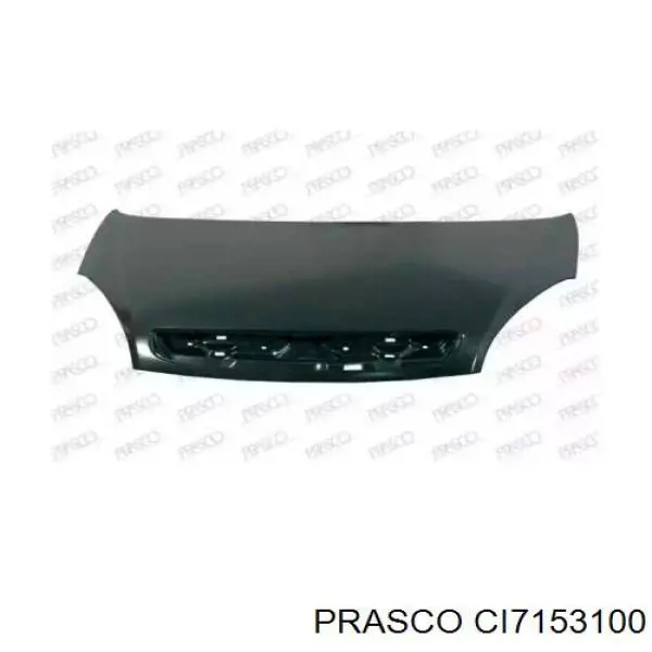 Comprar CI7153100 Prasco Capó