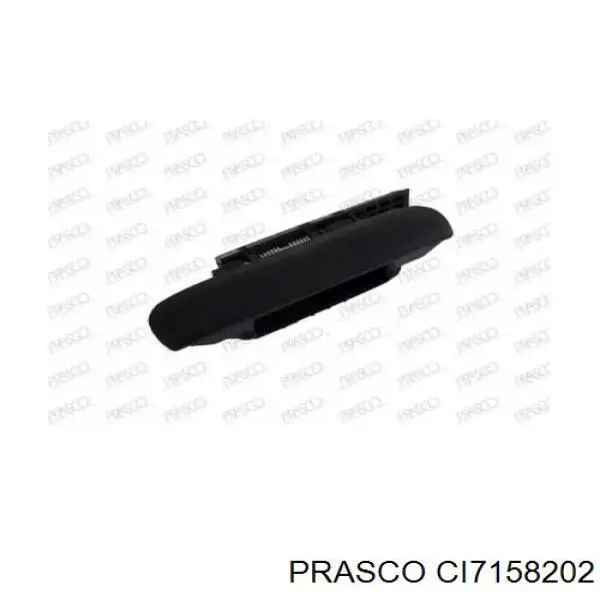 00009101Q0 Peugeot/Citroen tirador de puerta exterior delantero izquierda