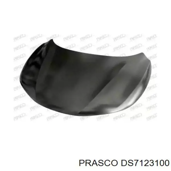 Capó del motor Polcar 27C103J precio, desde 190,18 EUR