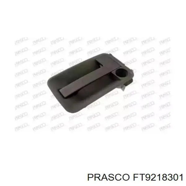 Manija exterior derecha de puerta trasera batiente Peugeot/Citroen 9101G9 precio, desde 31,94 EUR