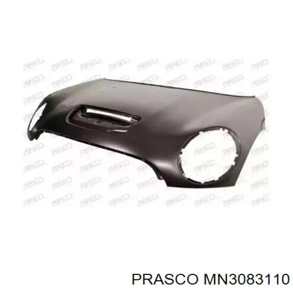 Comprar 41617318365 BMW Capó