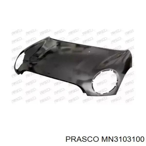 Capó del motor BMW 41612754742 precio, desde 377,60 EUR