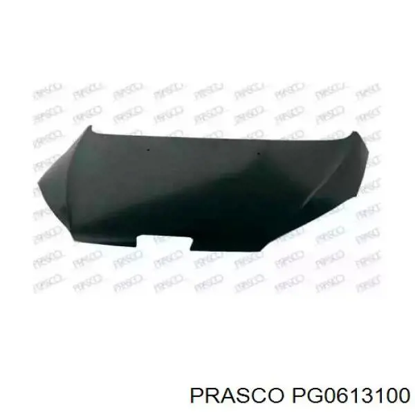 Capó del motor Polcar 574803 precio, desde 193,12 EUR