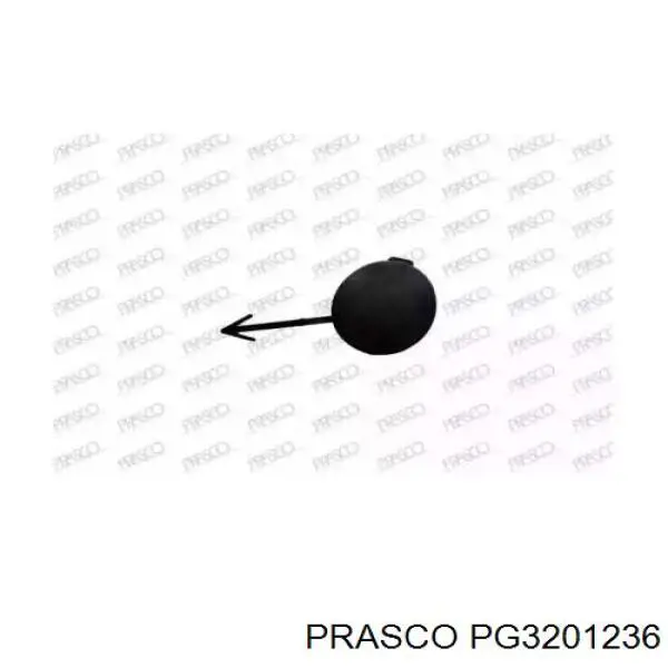Tapa del enganche de remolcado delantera PPG99019CA Signeda
