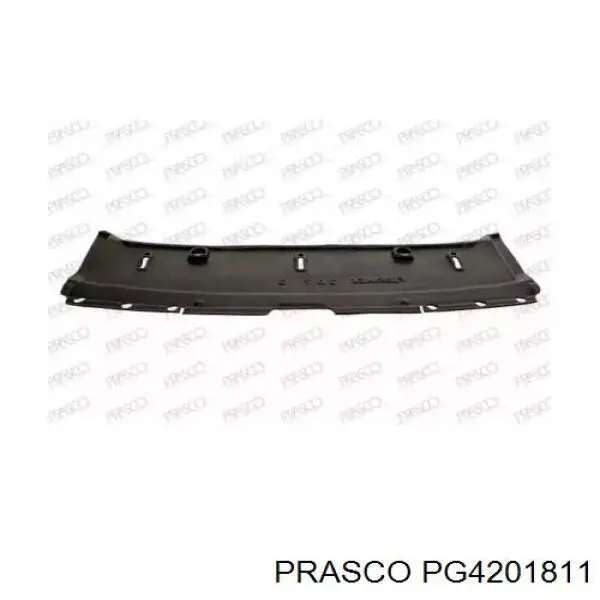 PG4201811 Prasco deflector de parachoques delantero