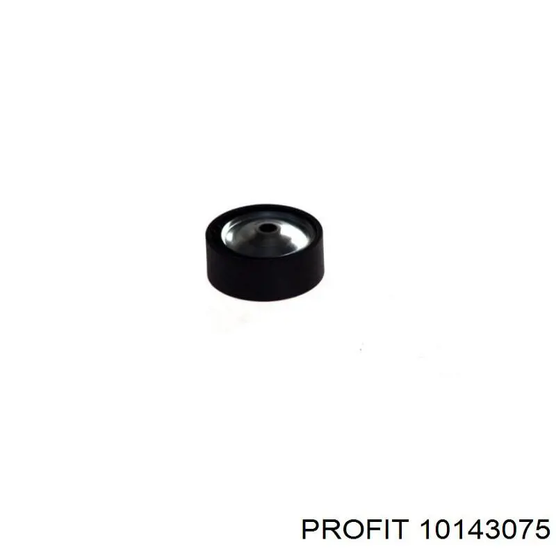 Comprar 13248 3RG Polea tensora, correa poli V