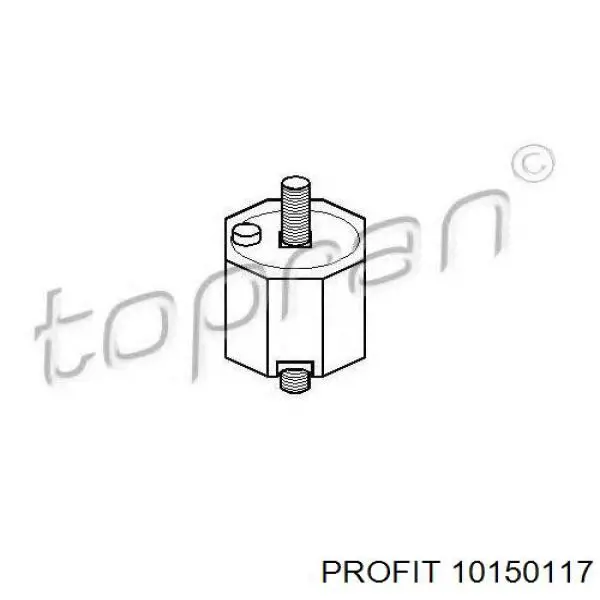 10150117 Profit montaje de transmision (montaje de caja de cambios)