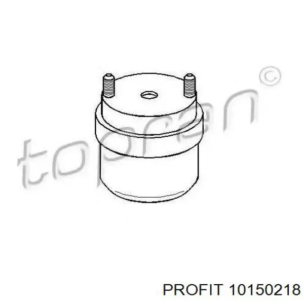 10150218 Profit soporte de motor derecho