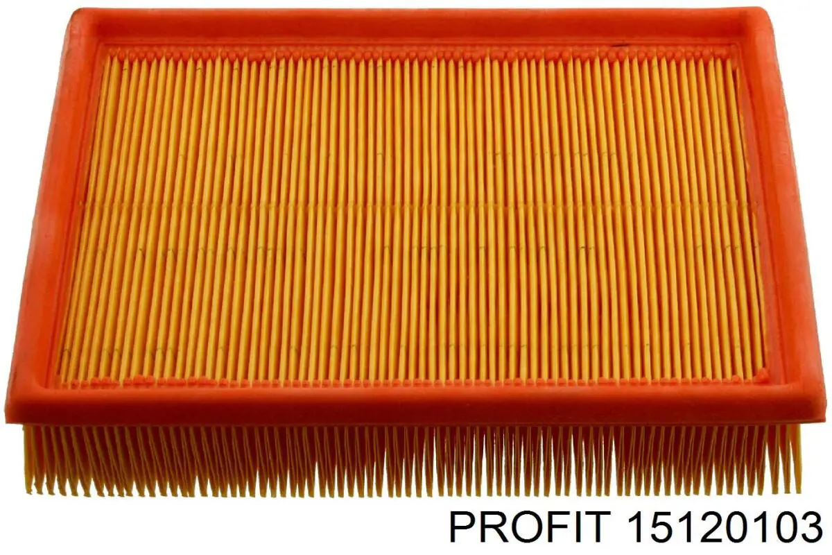 15120103 Profit filtro de aire