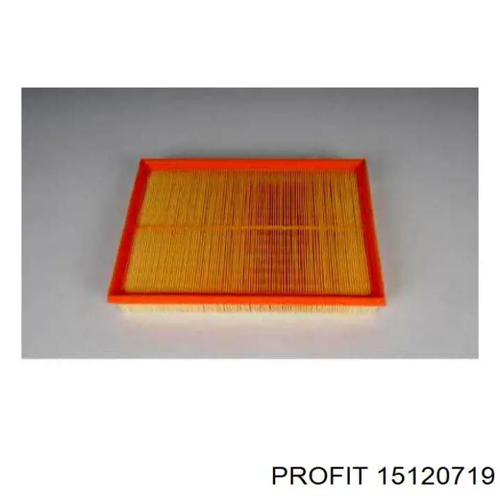 Filtro de aire 15120719 Profit