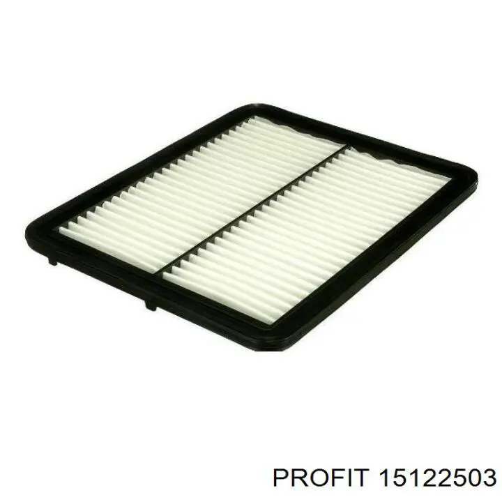 El filtro de aire Profit 15122503 precio, desde 7,13 EUR