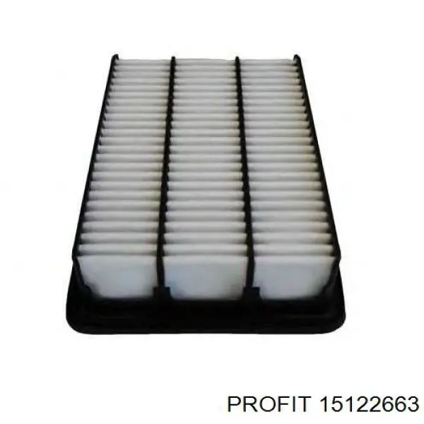 Filtro de aire 15122663 Profit