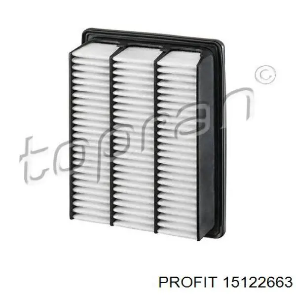 El filtro de aire Profit 15122663 precio, desde 7,99 EUR