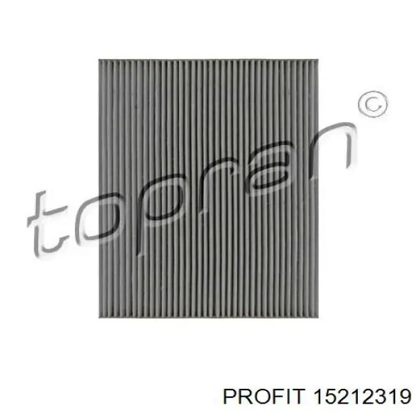 15212319 Profit Filtro antipolen