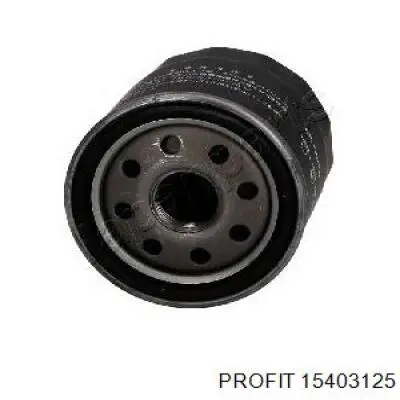 Filtro de aceite motor Profit 15403125