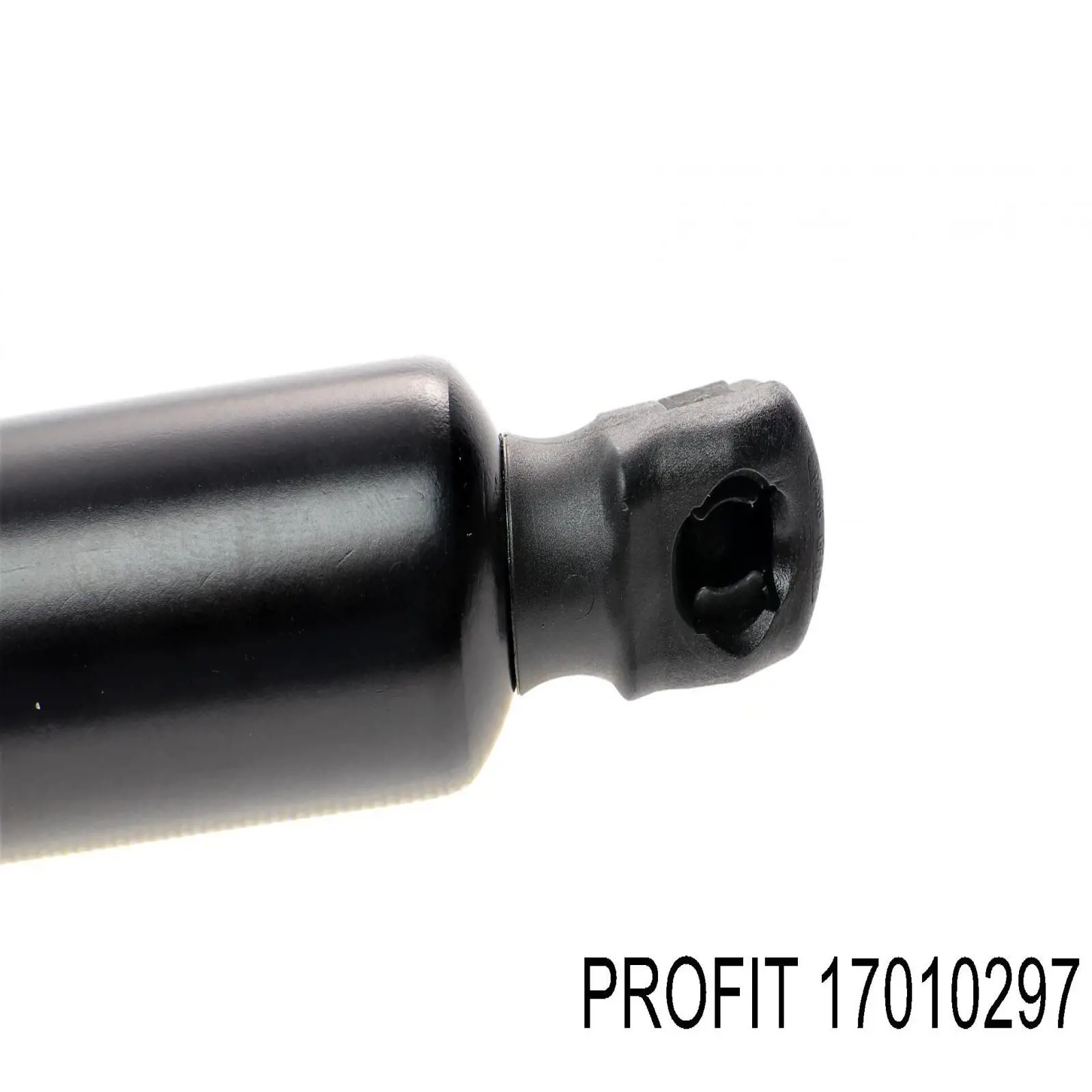 Bombeadora de agua Profit 17010297 precio, desde 64,41 EUR