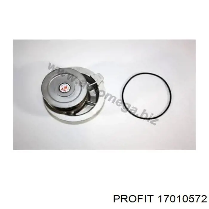 Comprar 17010572 Profit Bomba de agua para motor