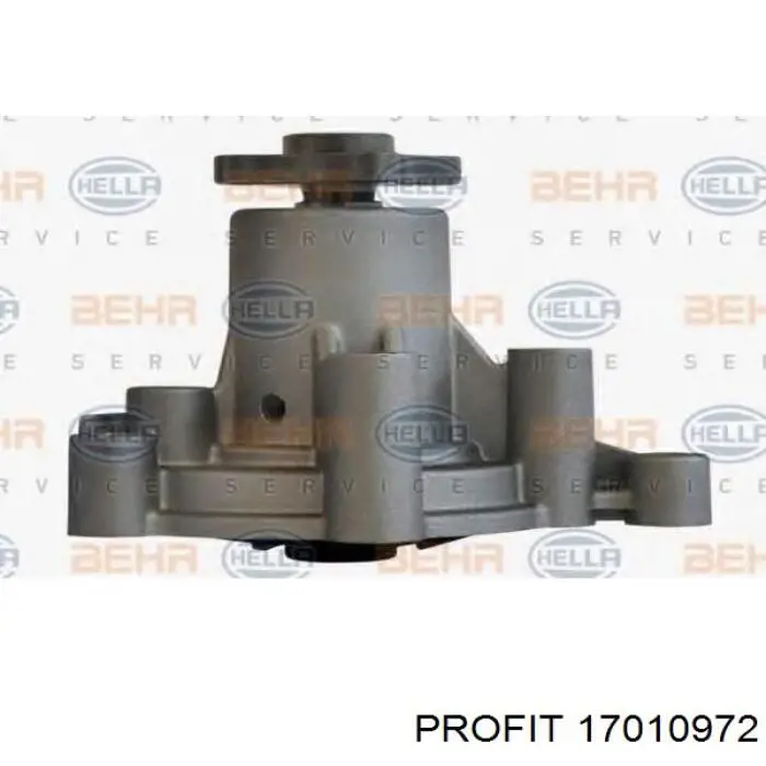 Bomba de agua 17010972 Profit