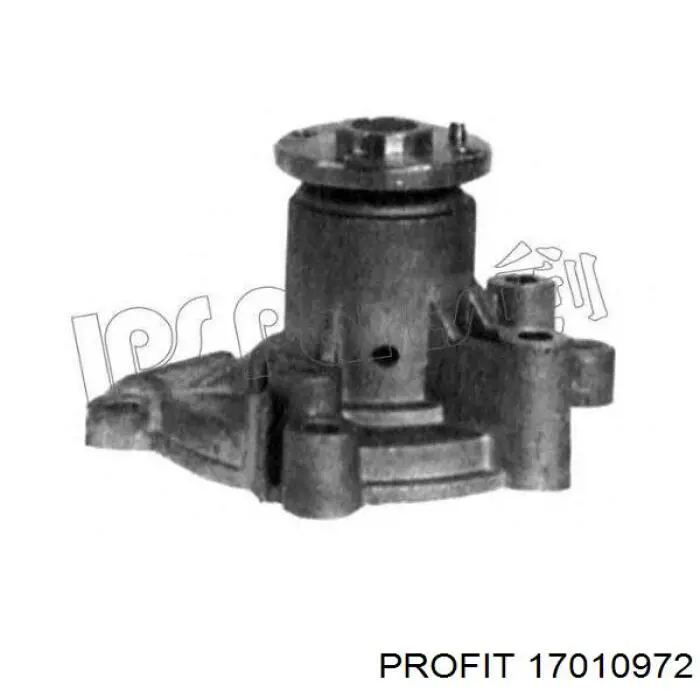 Motor de agua Profit 17010972
