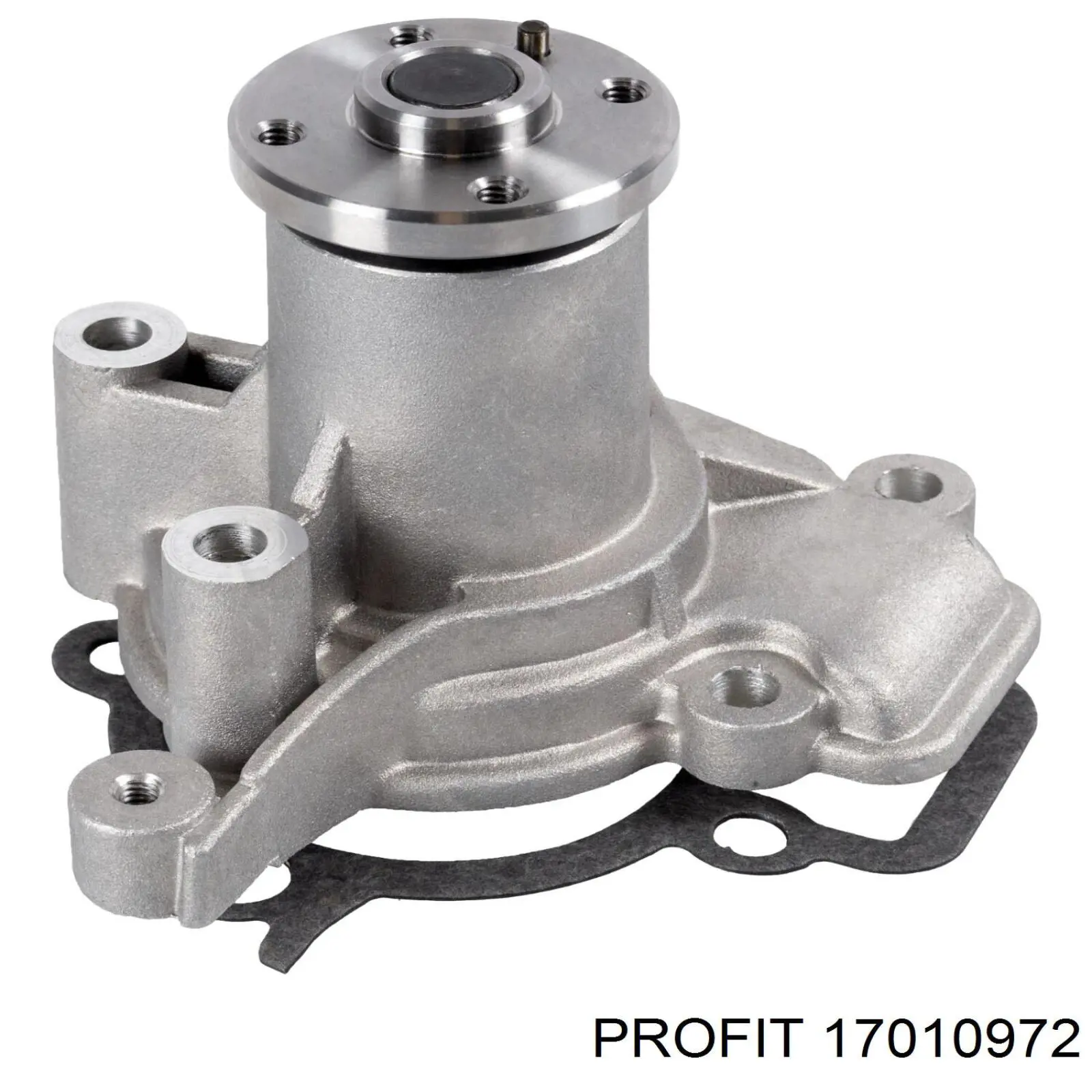 Bombeadora de agua Profit 17010972 precio, desde 56,51 EUR