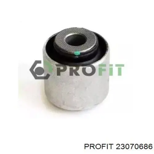 Comprar O250080 RBI Buje de mangueta trasera