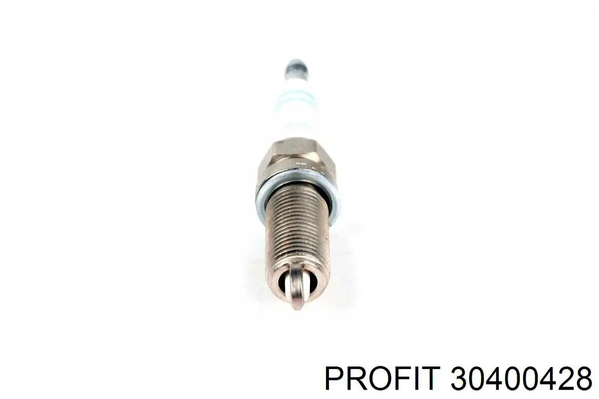 Bomba de dirección hidráulica Profit 30400428