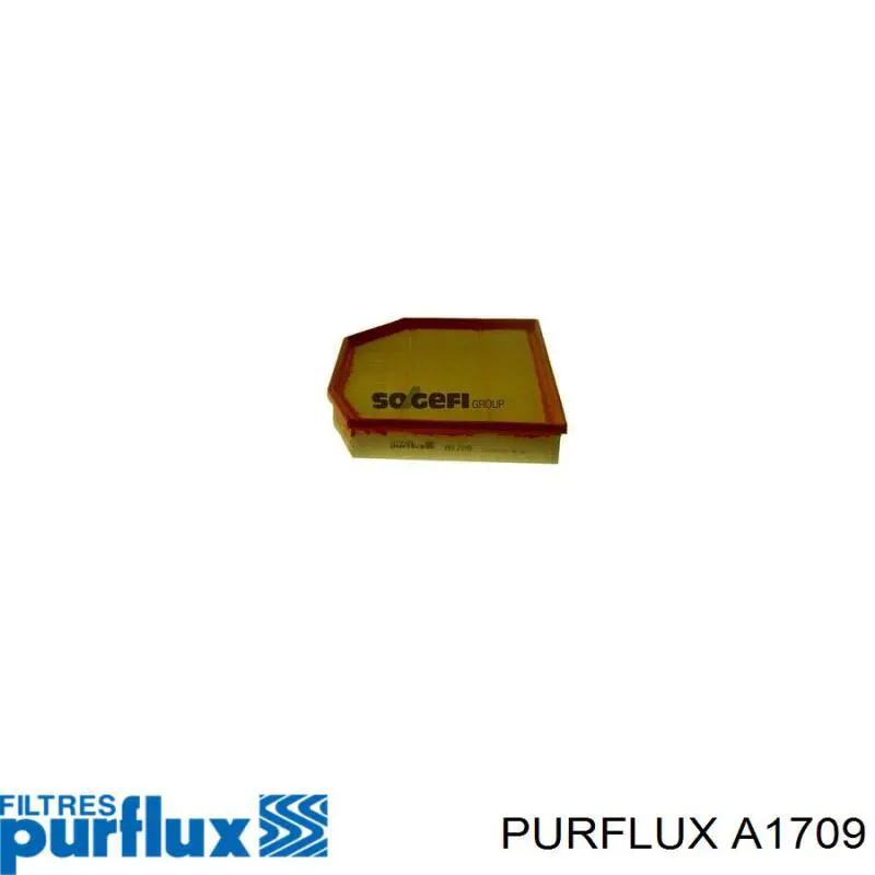 Filtro de aire A1709 Purflux