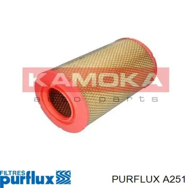 Filtro de aire A251 Purflux