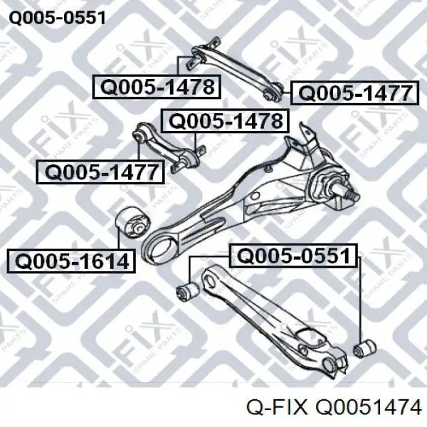 Buje exterior del brazo transversal trasero Q0051474 Q-fix