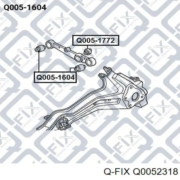 Buje del brazo inferior trasero Q0052318 Q-fix