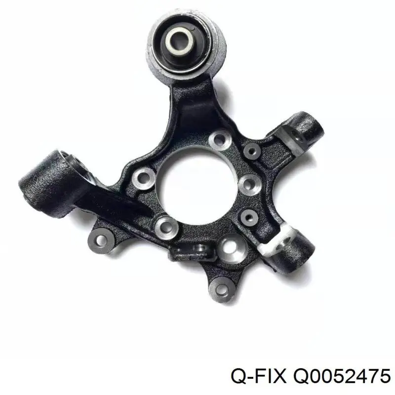 Q0052475 Q-fix Buje de mangueta trasera