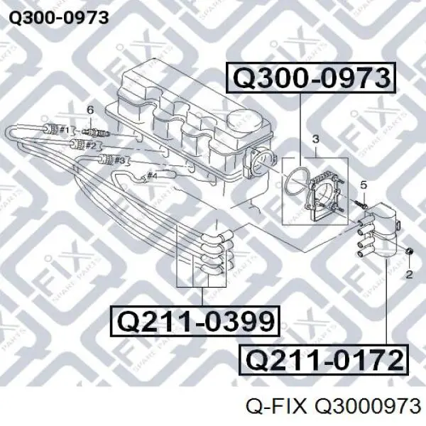 Q300-0973 Q-fix junta torica de distribuidor