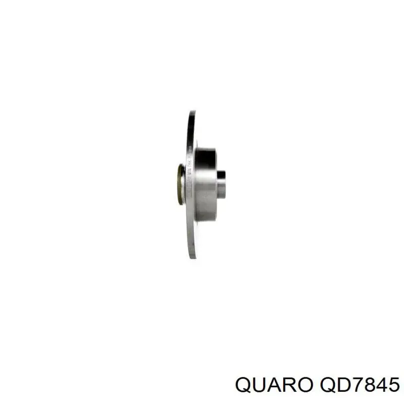 Disco de freno trasero Renault Espace 4 JK0