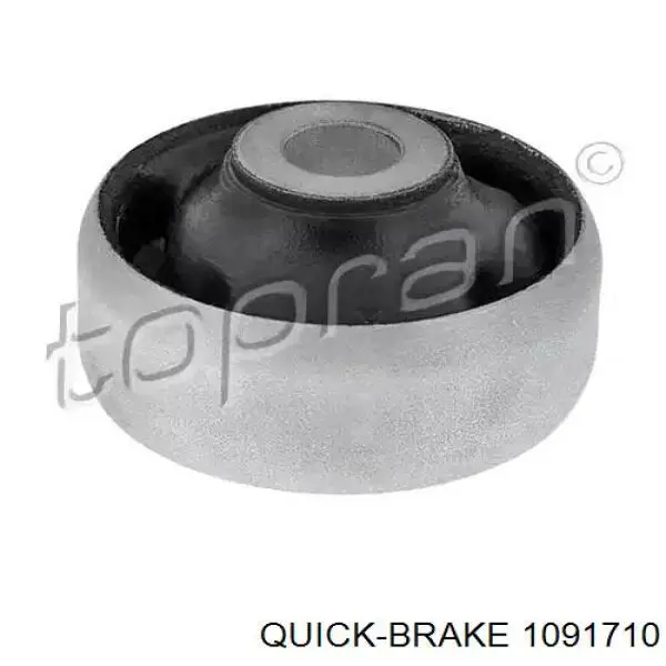 1091710 Quick Brake Juego de resortes de sujeción de pastillas de freno traseras