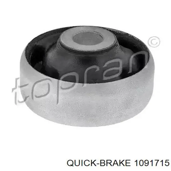 Juego de resortes de sujeción de pastillas de freno delanteras Quick Brake 1091715