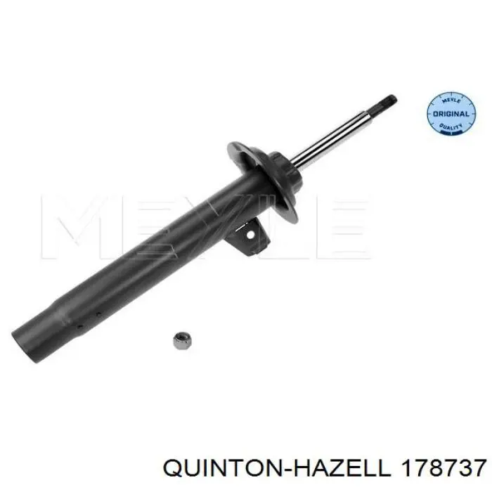 Amortiguador delantero BMW 3 E46