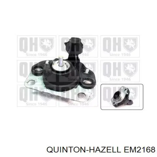 Soporte de motor derecho 7700805123 Renault (RVI)