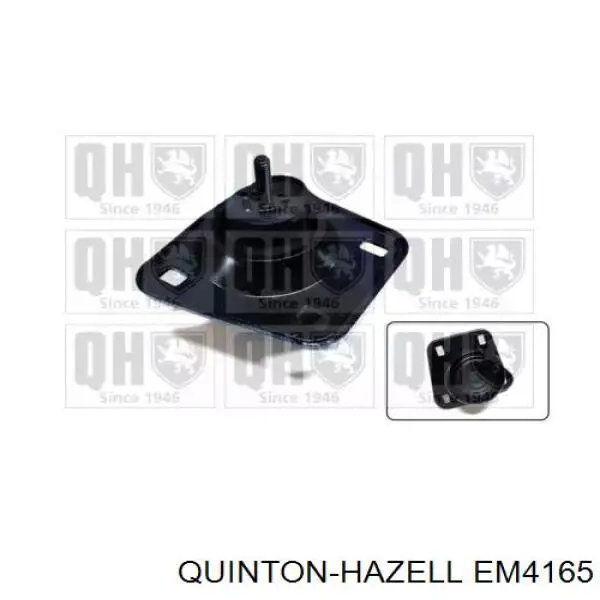 Comprar XS616038EA Ford Soporte de motor derecho